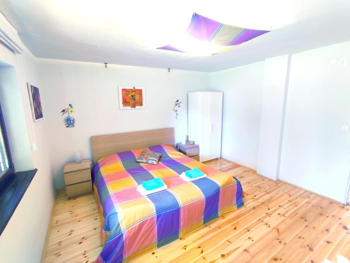 Apartments Eco Forest Resort 拉科维察 外观 照片